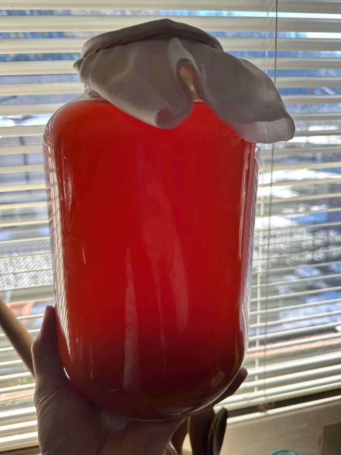 5 Reasons Your Kombucha May Be Cloudy  (and How to Fix It!)