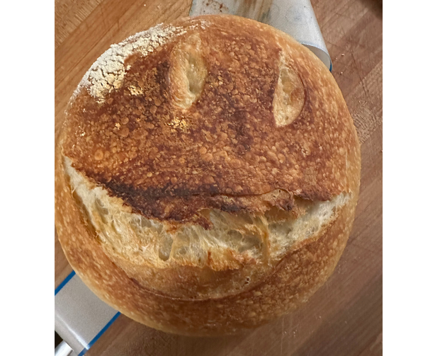 Fermenting with Felecia: Sourdough Class