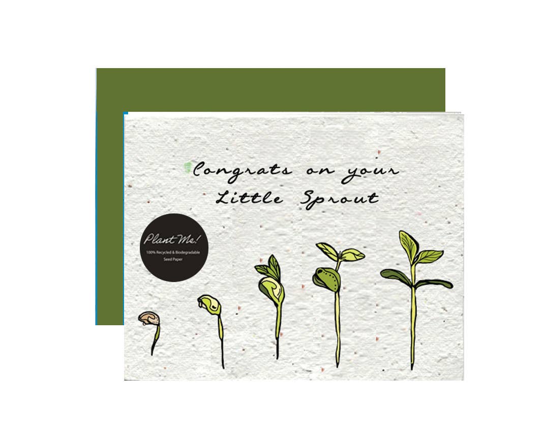 Sprouting Joy: Baby Wildflower Seed Paper Card - Branch and Vines