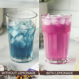 Magical Butterfly Pea Flower Herbal Tea: 1 oz - Branch and Vines